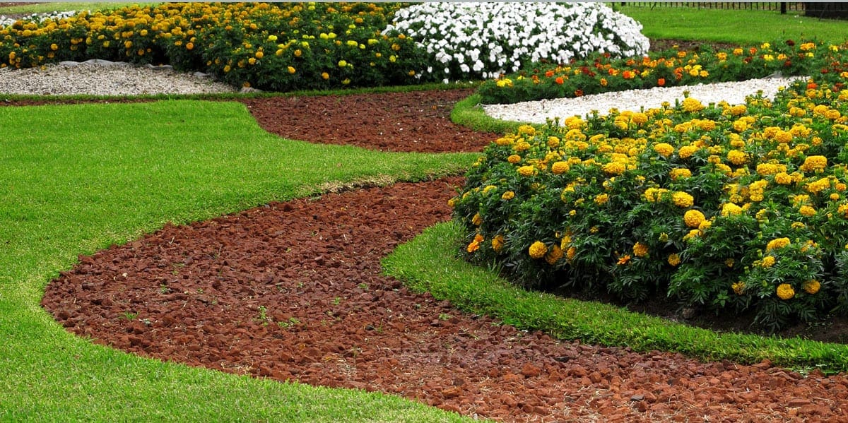 Flower beds with brown mulch and marigolds surrounded by lush green grass