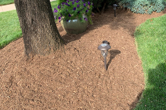 Image-5