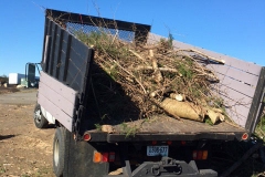 hauling-debris