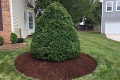 landscaping-services